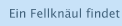 Ein Fellkn&auml;ul findet ein Zuhause